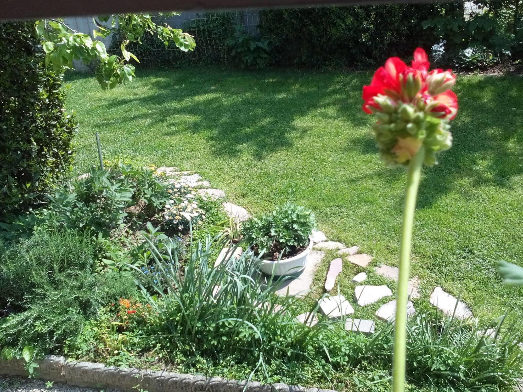 Casa Emanuela Bed & Breakfast Piazzola sul Brenta Exterior foto